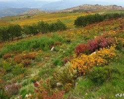 Invierno, Primavera y Otoño,