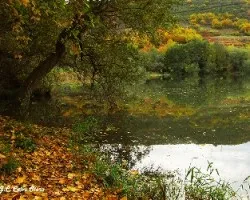 Rincones de hoy por la tarde