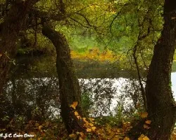 Rincones de hoy por la tarde