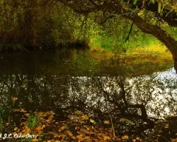 Rincones de hoy por la tarde