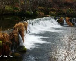 Para que me digan si está torcida