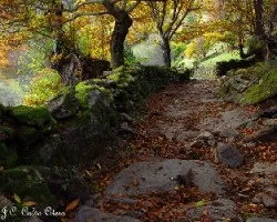 Un lugar de cuento de hadas