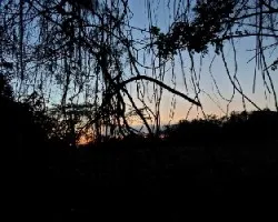 Atardecer en el bosque seco tropical