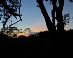 Atardecer en el bosque seco tropical