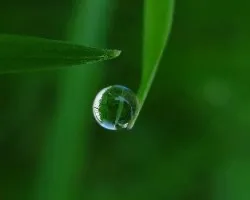 Reflejos en una gota