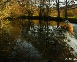 Reflejos en el xares