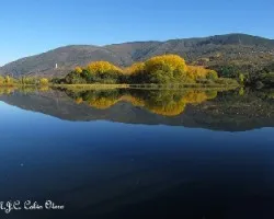 Reflejos en el sil