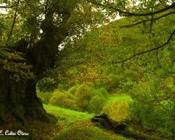 Un rincón de cuento