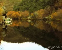 Reflejos en río