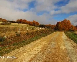 El paseo del viernes