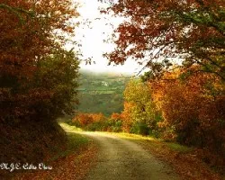 El paseo del viernes