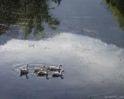 Reflejos laguna del valle