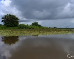 Reflejo en caño negro