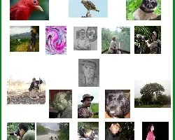 Vamos terminando el año