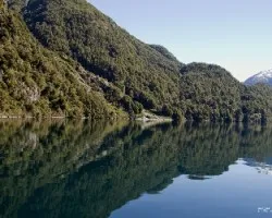 Parque nacional los alerces