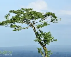 En el horizonte
