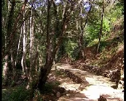 Caminito