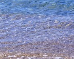 Aguas claras