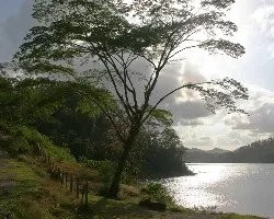 ManiquÃ del sol
