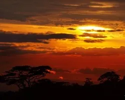 Pasión de ocaso