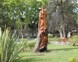 Pinos que no morirán jamás