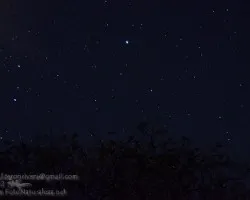 Cielo estrellado