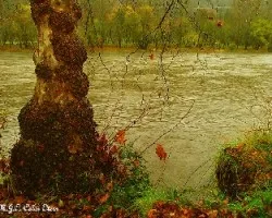 Un paseo bajo la lluvia