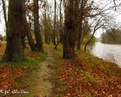 Un paseo bajo la lluvia