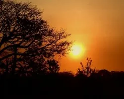 Contraluz en el bosque seco tropical