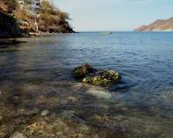 Corales en taganga