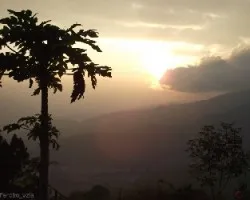 Paisaje en contraluz