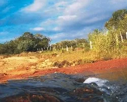 Gama de colores en el camino