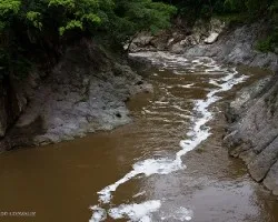 Rio tarcoles
