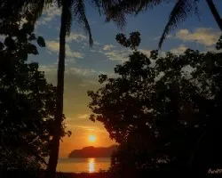 Amanecer entre palmas