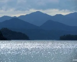 Azules de santa elena