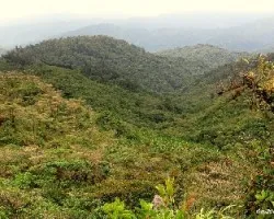 Montañas de tausito