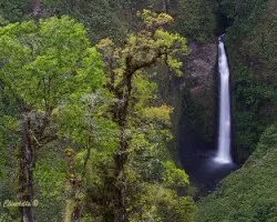 Catarata de San Fernando