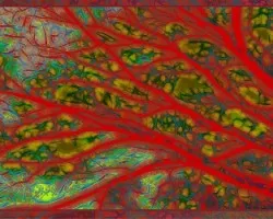 Chispazos de carnaval