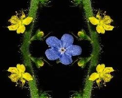 Jugando un poco salió esto