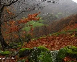 Edrada y el color de la lluvia en invierno
