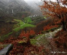 Edrada y el color de la lluvia en invierno