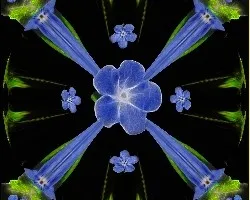 Jugando un poco salió esto