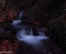 Un paseo al atardecer por el arroyo