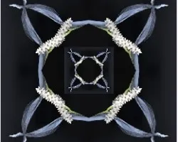 Para alegrarte el miércoles!