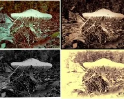 Virados con photoshop