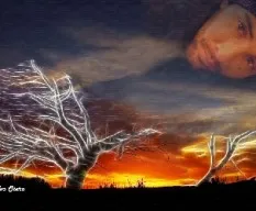 Fusión de imágenes