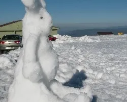 Jugando con la nieve