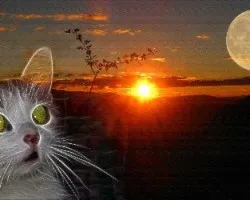 Fusión de imágenes