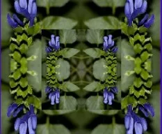 Para empezar la semana!