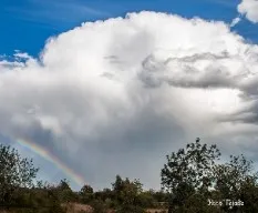 Después de la lluvia